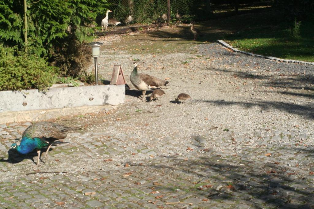 Tromcourt Otel Couvin Dış mekan fotoğraf